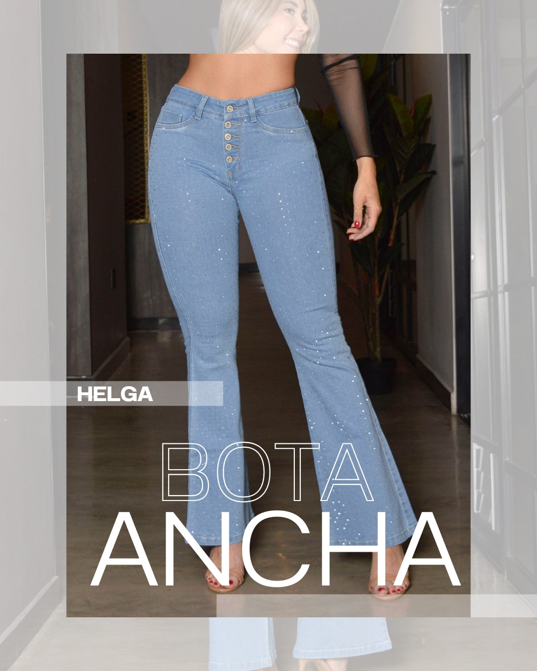 Bota Ancha